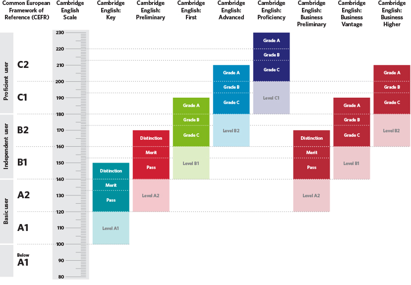 Lifelone learning – Cambridge Erwachsene - image