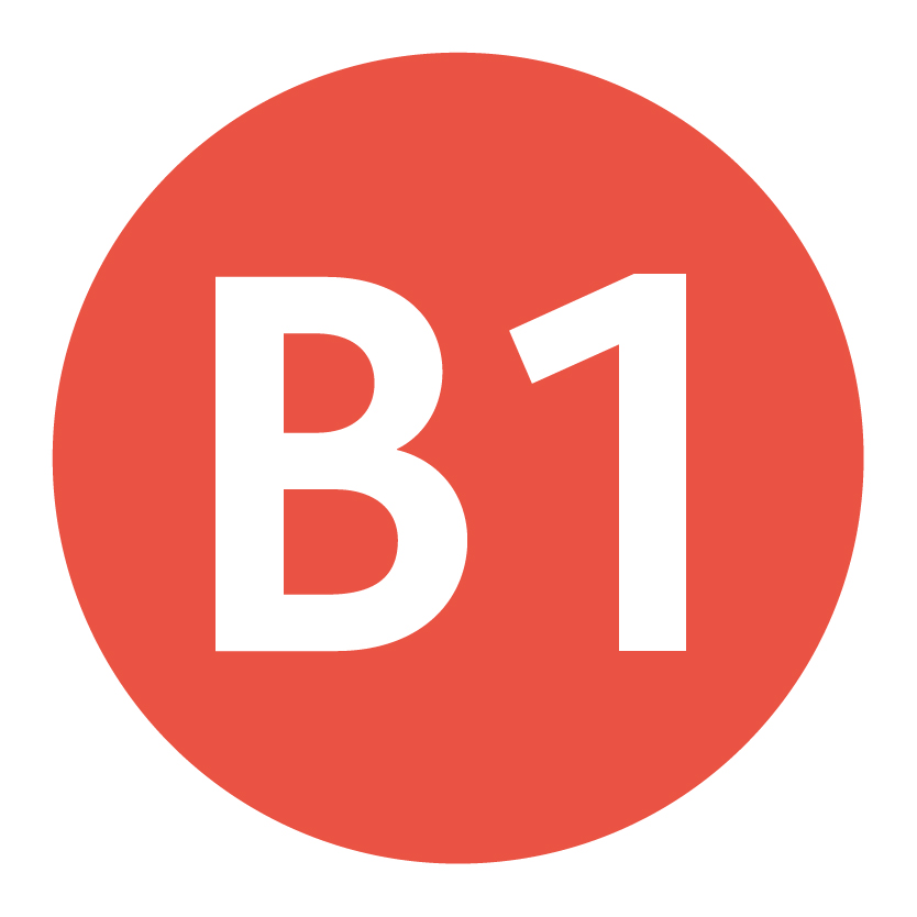 B1