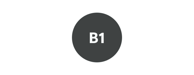 B1 Preliminary for Schools logo.