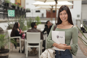 Anglo Mexican Foundation Image